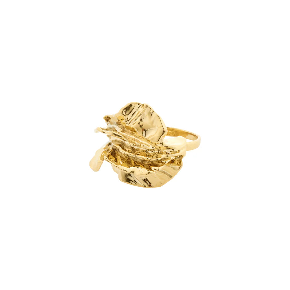 Eclipse Ring