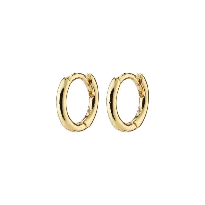 Eanna Hoops