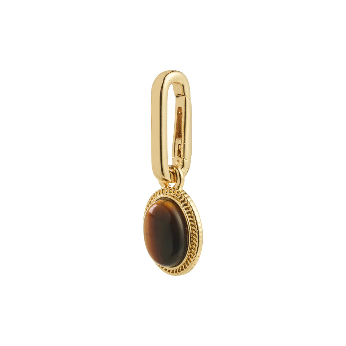 Tiger Eye Charm