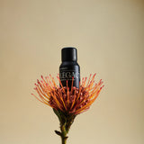 VITRUVI LEGACY OIL BLEND